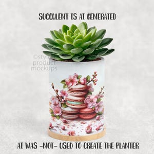 May include: A cylindrical planter with a succulent plant. The planter is white with a design of macarons and pink flowers. The base is a light wood color. Text on the image reads "SUCCULENT IS AI GENERATED" and "AI WAS -NOT- USED TO CREATE THE PLANTER."