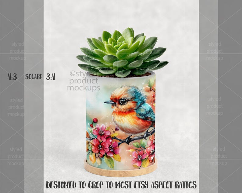 May include: A cylindrical planter pot with a watercolor design of a bird perched on a branch with red flowers. The pot holds a green succulent plant. The text "DESIGNED TO CROP TO MOST ETSY ASPECT RATIOS" is at the bottom.