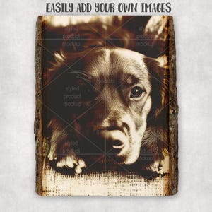Op de afbeelding: Sepia-afbeelding van een hondengezicht, gecentreerd op een houten plank. De hond heeft bruine vacht en kijkt de kijker recht aan. De tekst "EASILY ADD YOUR OWN IMAGES" staat bovenaan.