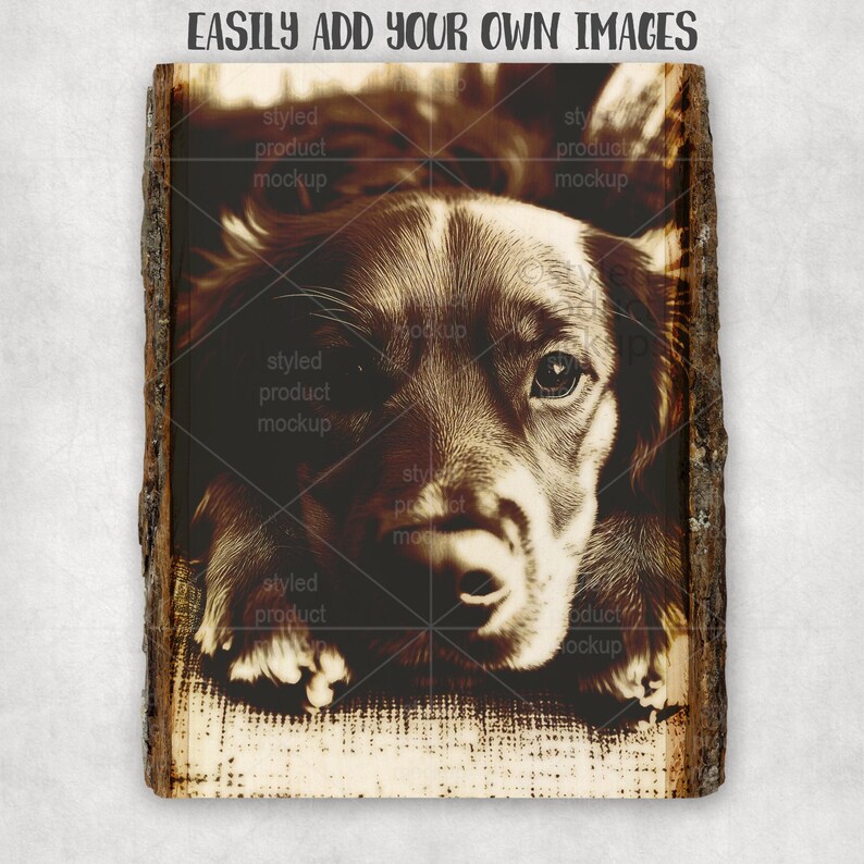 Op de afbeelding: Sepia-afbeelding van een hondengezicht, gecentreerd op een houten plank. De hond heeft bruine vacht en kijkt de kijker recht aan. De tekst "EASILY ADD YOUR OWN IMAGES" staat bovenaan.