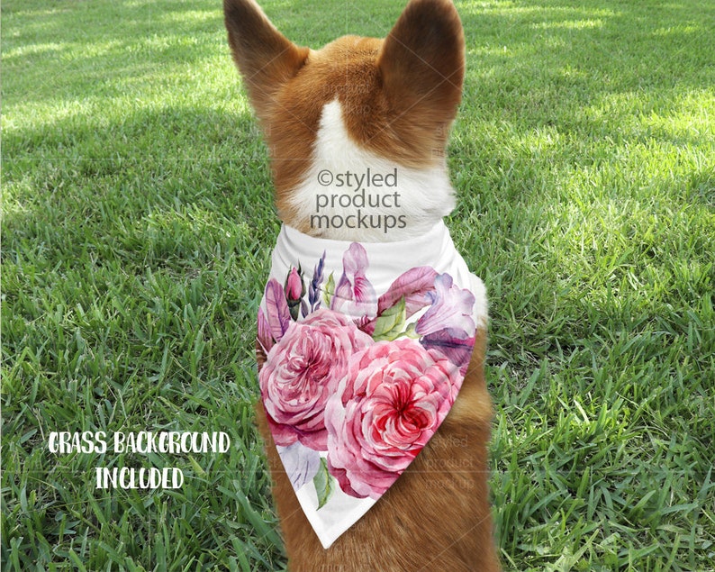 Download Dye sublimation pet bandana mockup template Add your own | Etsy
