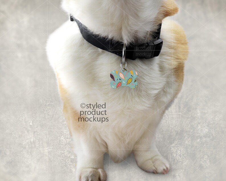 Download Dye sublimation bone shaped pet tag on dog mockup template ...