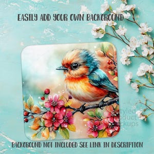 May include: A square product mockup featuring a colorful bird illustration perched on a branch with pink flowers. The bird has orange, blue, and yellow feathers. Text on the image reads "EASILY ADD YOUR OWN BACKGROUND" and "BACKGROUND NOT INCLUDED SEE LINK IN DESCRIPTION."