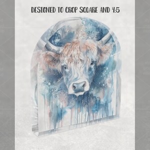 Op de afbeelding: Een aquarel schilderij van een Schotse Hooglandkoe, met tinten blauw, bruin en wit. Het kunstwerk wordt weergegeven op een helder, rechthoekig blok. De tekst "DESIGNED TO CROP SQUARE AND 4:5" staat bovenaan.