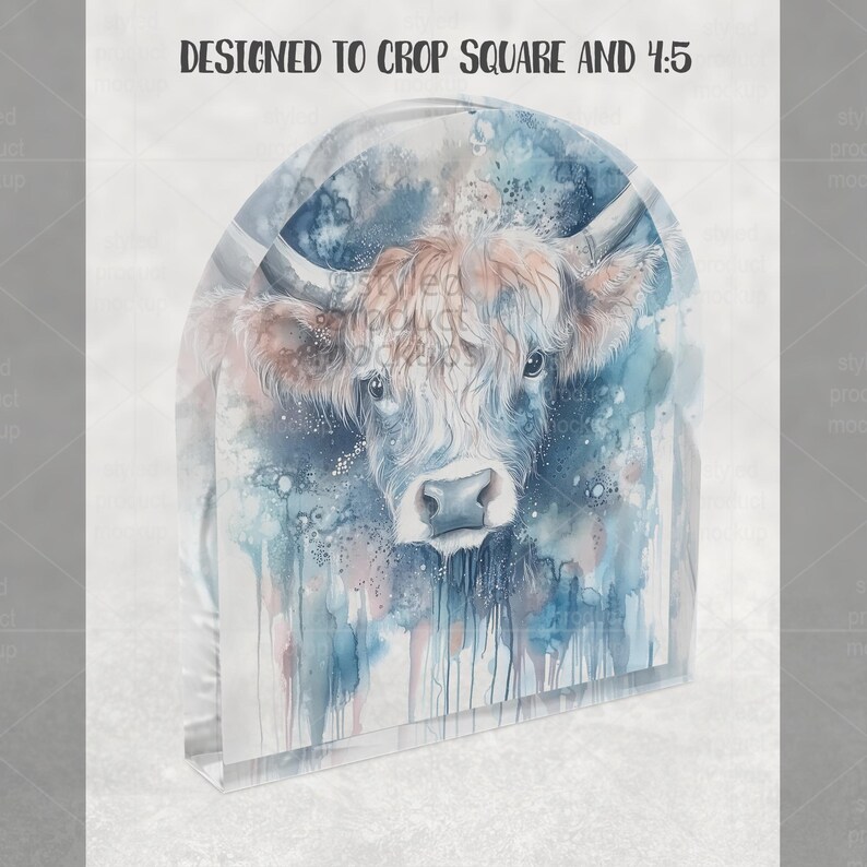 Op de afbeelding: Een aquarel schilderij van een Schotse Hooglandkoe, met tinten blauw, bruin en wit. Het kunstwerk wordt weergegeven op een helder, rechthoekig blok. De tekst "DESIGNED TO CROP SQUARE AND 4:5" staat bovenaan.