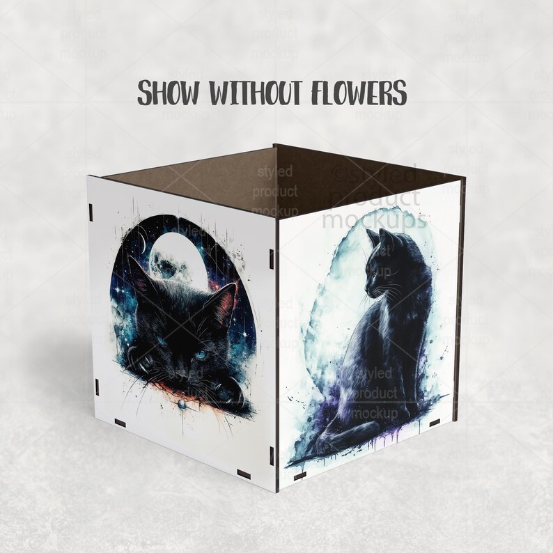 May include: A white, square decorative box with black cat illustrations. One side features a black cat with blue eyes against a starry background. The other side shows a black cat in profile. The text "SHOW WITHOUT FLOWERS" is at the top.