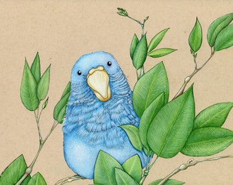 Curious Blue ORIGINAL 9x12 Artwork