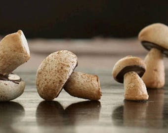 Candy Meringue Mushrooms in various flavors, 10 candy mushrooms, Cake toppers