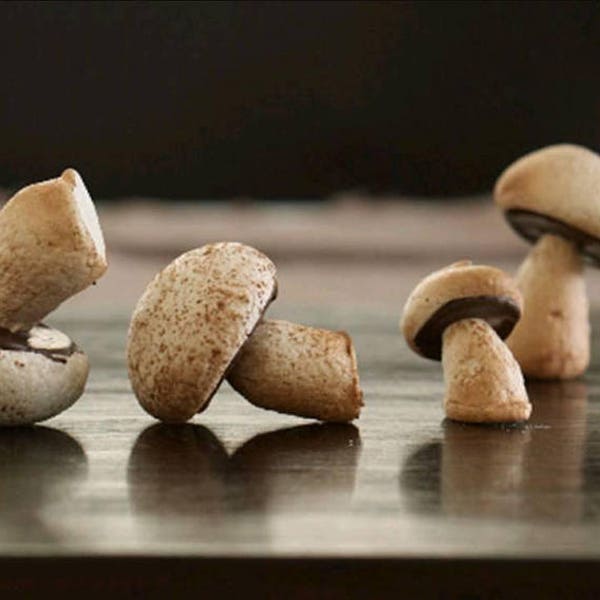 Candy Meringue Mushrooms in various flavors, 10 candy mushrooms, Cake toppers