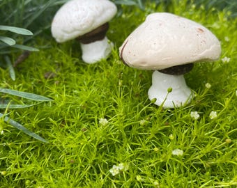 Candy Meringue Mushrooms, Cake Toppers, Forest Party Favors
