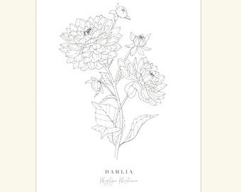 AFDRUKBARE dahlia bloem print Illustratie, zwart-wit digitale download botanische print, minimale inkt lijn kunst