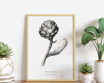 Botanical flower print, food art, Artichoke giclee print, Kitchen decor, black and white floral ink illustration, fine art flower drawing