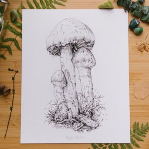 Mushroom print,  ink illustration, forest theme fine art drawing