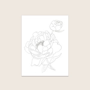 May include: A black and white line drawing of a peony flower with two blooms.