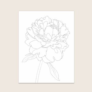 May include: A black and white line drawing of a single peony flower with a stem and leaves.
