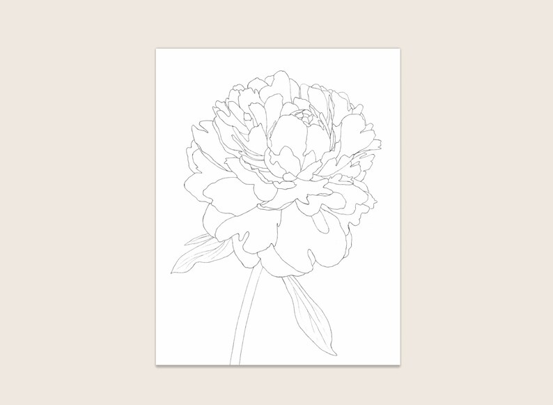 May include: A black and white line drawing of a single peony flower with a stem and leaves.