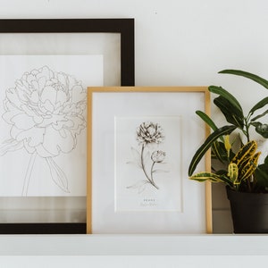 Op de afbeelding: Twee ingelijste zwart-wit lijntekeningen van pioenen, een in een zwart frame en een in een gouden frame, op een witte plank met een plant in een pot.