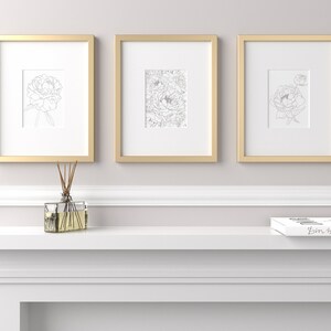 May include: Three gold framed prints of black and white line drawings of peonies. The prints are hanging on a white wall above a white shelf with a glass diffuser and a book titled "Born to Hate Burdon".