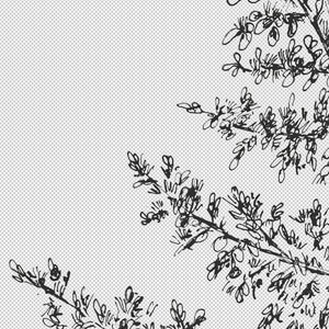 May include: Black and white line drawing of a tree branch with leaves and berries. The drawing is done in a simple, stylized way, and the leaves and berries are all different shapes and sizes.