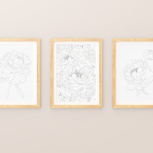 May include: Three framed black and white line drawings of peonies. The drawings are in a simple, minimalist style. The frames are light wood.