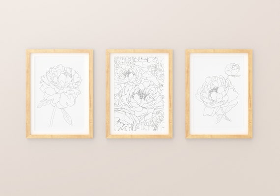 3 Peonies Prints Set Botanical flower prints, Giclee print, black and white floral ink illustration, fine art flower drawing