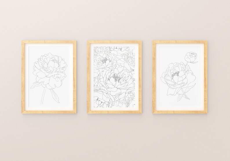 May include: Three framed black and white line drawings of peonies. The drawings are in a simple, minimalist style. The frames are light wood.