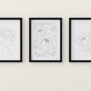 May include: Three black framed prints of line drawings of peonies. The left and right prints feature a single peony, while the center print features a cluster of peonies.