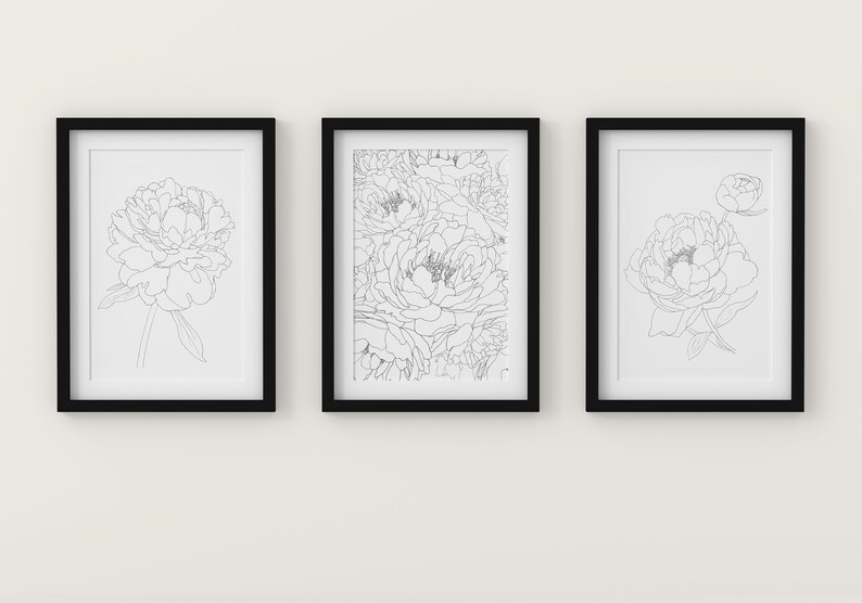 May include: Three black framed prints of line drawings of peonies. The left and right prints feature a single peony, while the center print features a cluster of peonies.