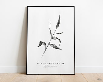 Botanical flower print, Wildflower giclee print, black and white floral ink illustration, fine art flower drawing