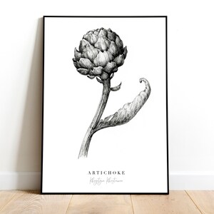 Printable Artichoke Print Flower Illustration, Kitchen Food Art, Black ...