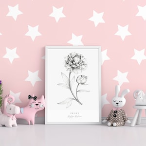 Op de afbeelding: Een zwart-witte illustratie van een pioenroos in een wit frame. Het frame bevindt zich op een roze muur met witte sterren. Er zijn twee roze katten speelgoedjes en een wit konijn speelgoedje voor het frame.