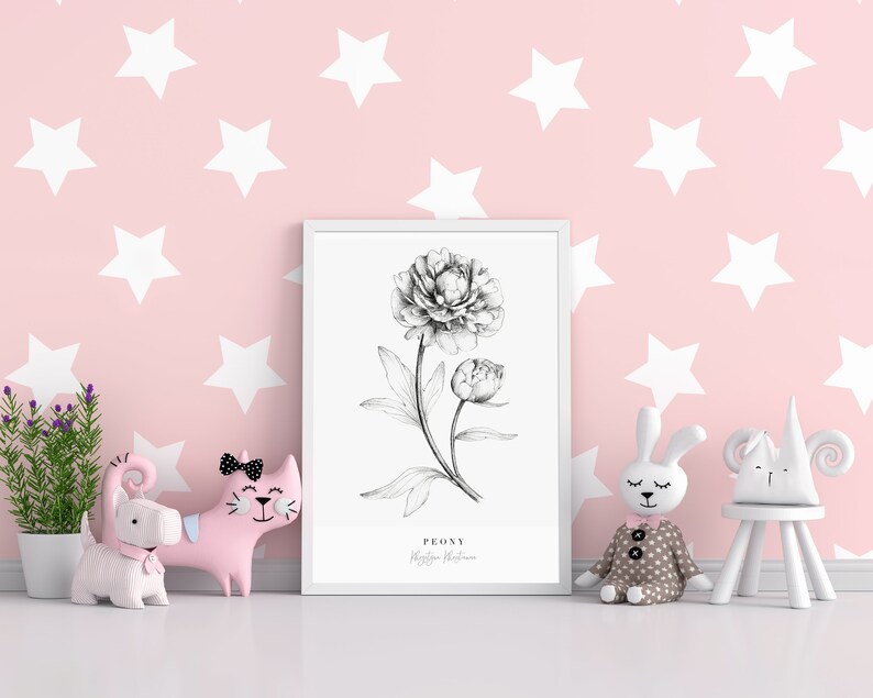 Op de afbeelding: Een zwart-witte illustratie van een pioenroos in een wit frame. Het frame bevindt zich op een roze muur met witte sterren. Er zijn twee roze katten speelgoedjes en een wit konijn speelgoedje voor het frame.