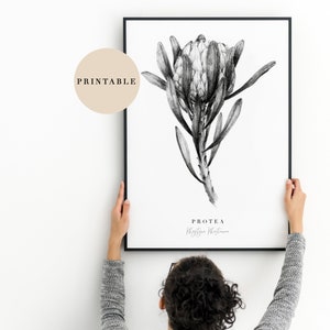 May include: A black and white printable art print of a Protea flower with the text "Protea, King Protea" below the image.