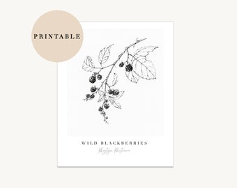 PRINTABLE wild blackberries print Illustration, black and white digital download botanical print, minimal ink line art
