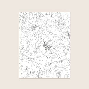 May include: A black and white line drawing of a bouquet of peonies. The peonies are drawn in a realistic style, with detailed petals and leaves.