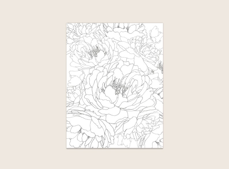 May include: A black and white line drawing of a bouquet of peonies. The peonies are drawn in a realistic style, with detailed petals and leaves.