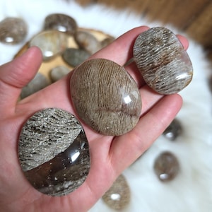 Thousand Layer Quartz *UPDATED* Tumbles Lodolite / Scenic / Garden / Shamanic Quartz Palm Stone 1000