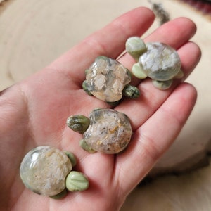 Könnte beinhalten: Vier kleine, kunstvoll geschnitzte Schildkrötenfiguren aus grünem und weißem Achat. Die Schildkröten werden auf einer Hand präsentiert.