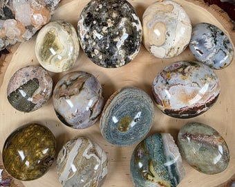 Jaspe oceánico orbicular, piedra de palma de Madagascar, piedra de Atlántida pulida.