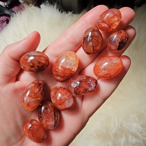 Puede incluir: Una colección de diez cristales de cuarzo rojo y naranja pulidos con inclusiones. Los cristales son lisos y pulidos, y tienen una variedad de formas y tamaños.