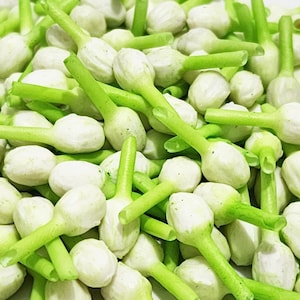 Vita jasminknoppar lerblomspärlor smyckestillverkning mjölkörtgirlang DIY hantverk thailändska traditionella hantverksmaterial