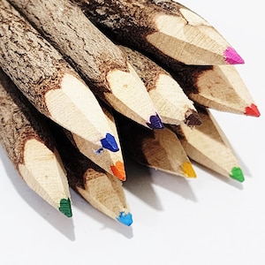 Set of 10 Branch Twig Colored Pencils Bark Wood Stationery Crafting Supplies Christmas Tree Decorate Eco Friendly Handcrafted Kids Drawing
