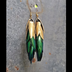 Peut inclure: Boucles d'oreilles longues et pendantes en forme d'ailes de scarabée dorées et vertes. La partie supérieure des boucles d'oreilles est dorée et les ailes de scarabée sont vertes.