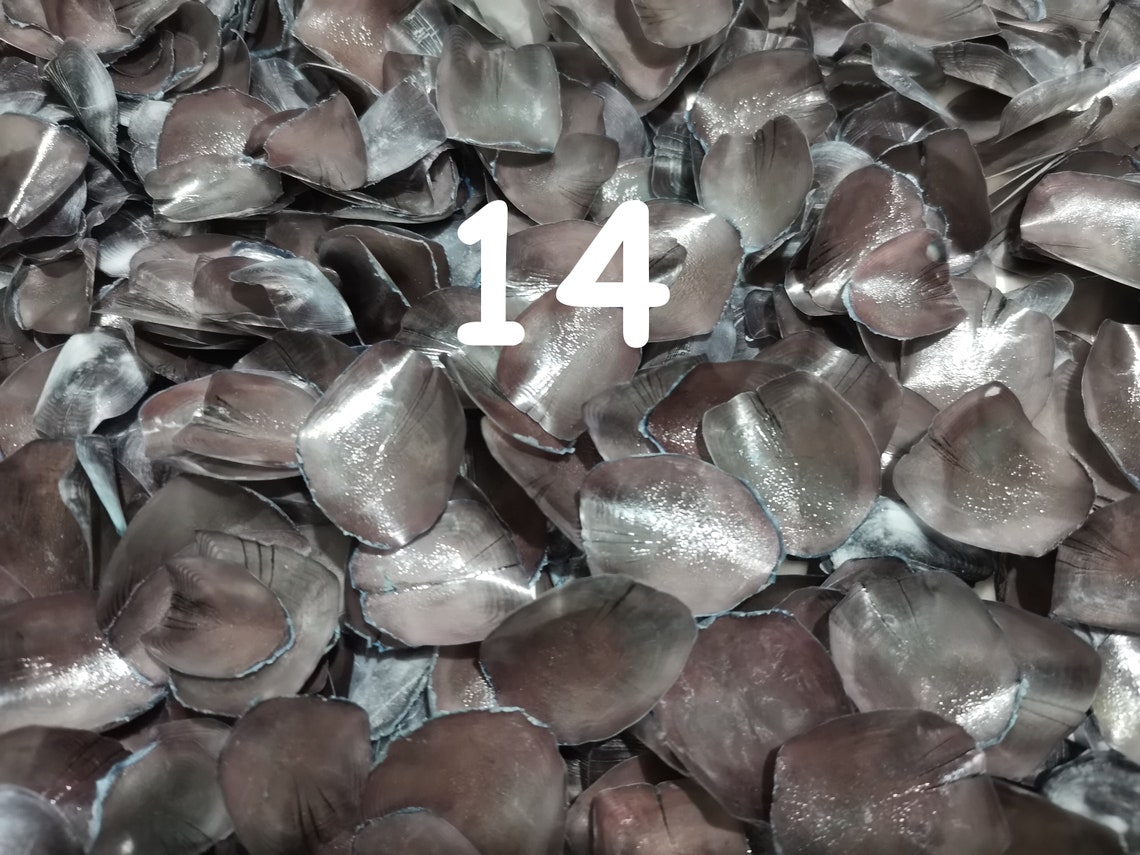 Genuine Dyed Fish Scale 100g Natural Craft Supplies Mosaic Etsy