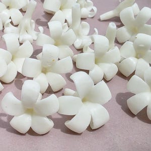 2-2.5 cm Weiß Puakenikeni Ton Blumen Perlen Hawaiian Lei Schmuckherstellung Girlande DIY Handcraft Lufttrocknender Ton Natürliche Handwerk Liefert