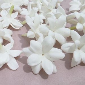 May include: Close-up of several white jasmine flowers with multiple petals and green stems. The flowers are scattered on a light pink surface, showcasing their delicate structure and fresh appearance. The image highlights the natural beauty of the blossoms.