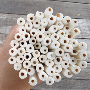 Könnte beinhalten: Ein Bündel weißer Holzstiftchen, die zusammengebündelt und in einer Hand gehalten werden. Die Stiftchen sind alle gleich groß und haben eine glatte, polierte Oberfläche.