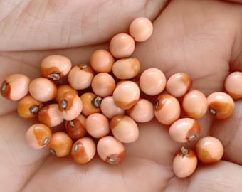 Super Rare!!! 30 Pink Beige Gunja Seeds Natural Beads Jewelry Making Traditional Craft Eco Friendly Handmade Supply Red Lucky Seed Herbal