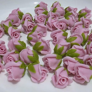 Puede incluir: Una colección de pequeños capullos de rosa rosa con hojas verdes. Las rosas están dispuestas sobre una superficie blanca. Los capullos están en varias etapas de floración, algunos bien cerrados y otros parcialmente abiertos.