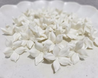 May include: A collection of white, five-petal flowers arranged on a white, scalloped-edge plate. The flowers have a delicate, realistic appearance, with slightly curved petals. The image is well-lit, highlighting the texture and form of the flowers.